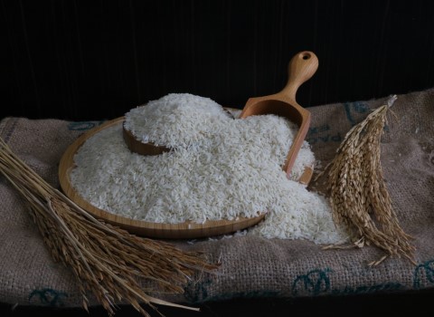 خرید و فروش برنج طارم درجه یک شمال با شرایط فوق العاده